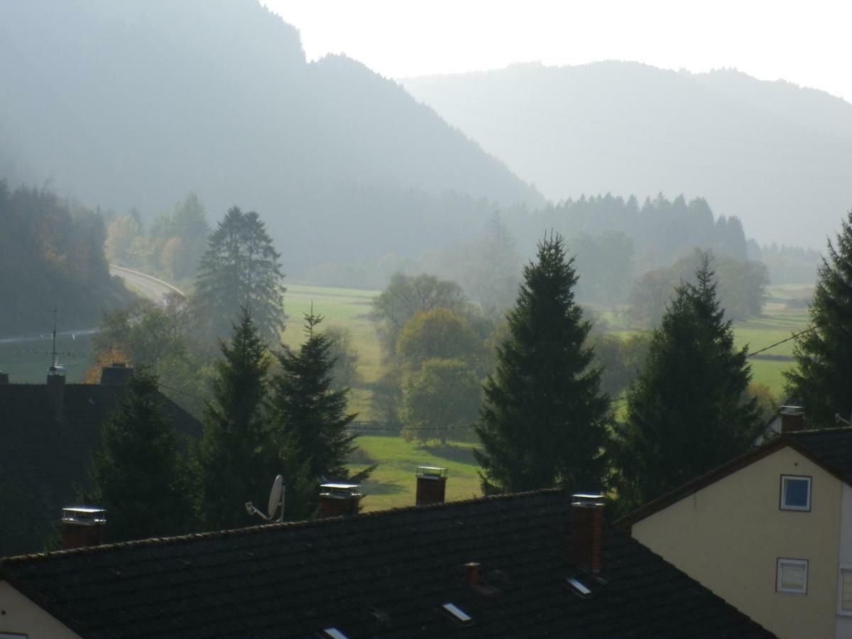 Urseetalblick Wg 7 Apartment Lenzkirch Exterior foto